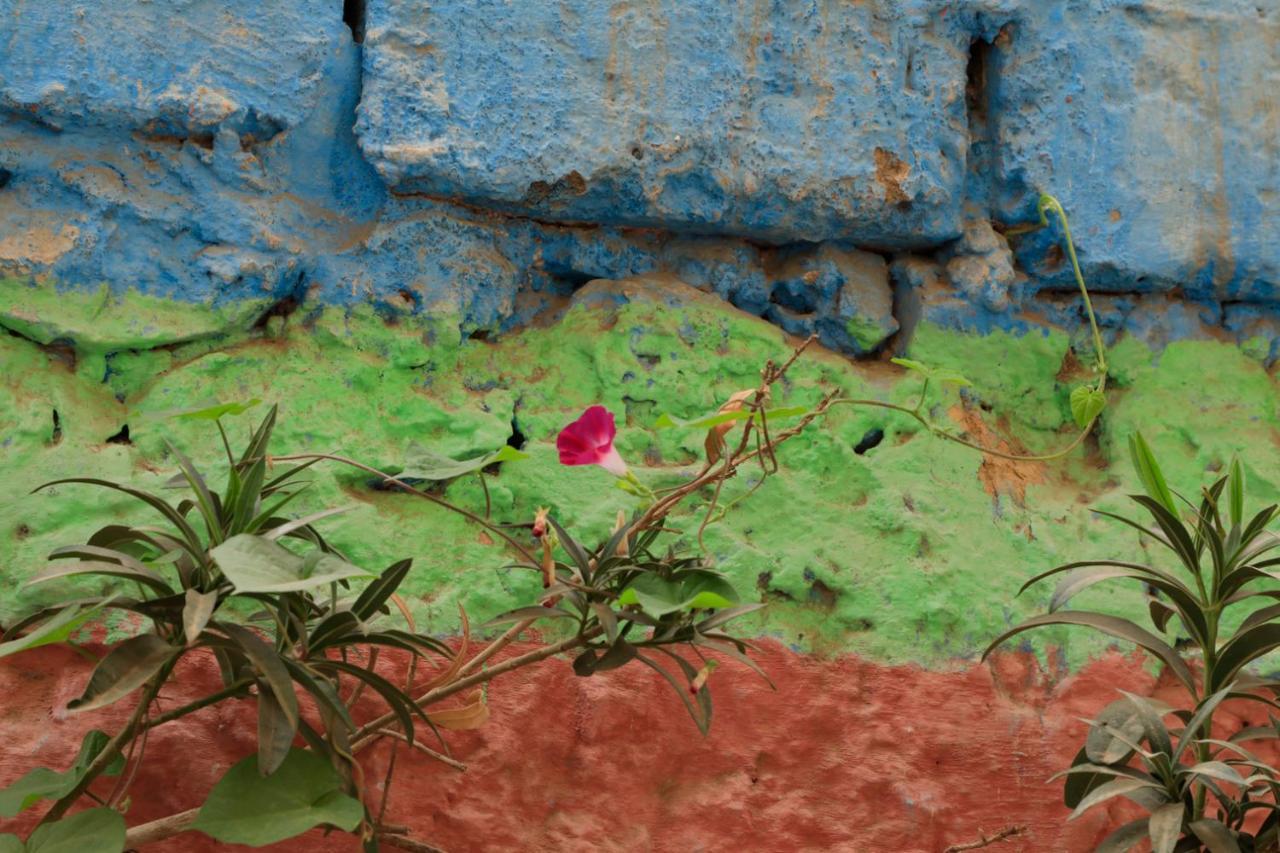 Riad Maryam ทารัวแดนท์ ภายนอก รูปภาพ