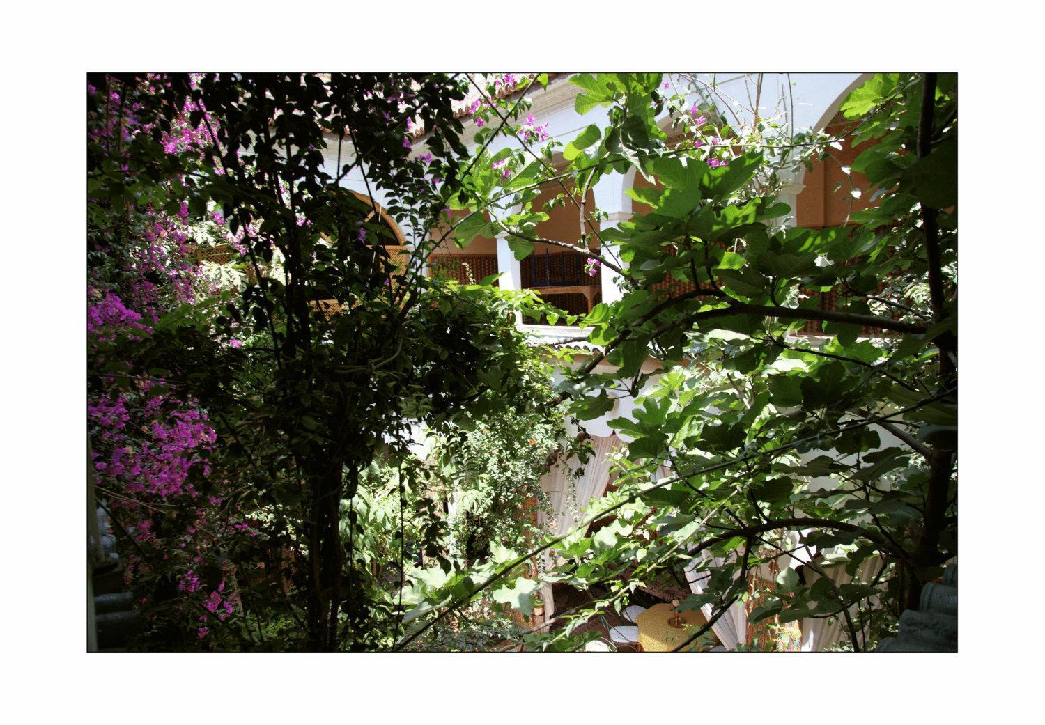 Riad Maryam ทารัวแดนท์ ภายนอก รูปภาพ